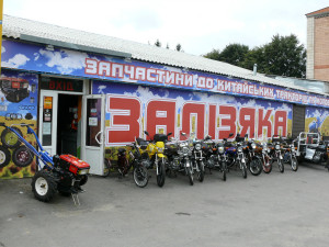 zalizyaka1